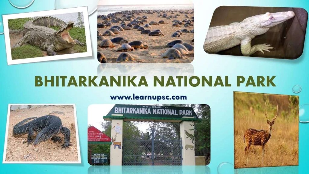 Odisha's Bhitarkanika National Park Welcomes Visitors Again Starting August 1 1 Bhitarkanika National Park