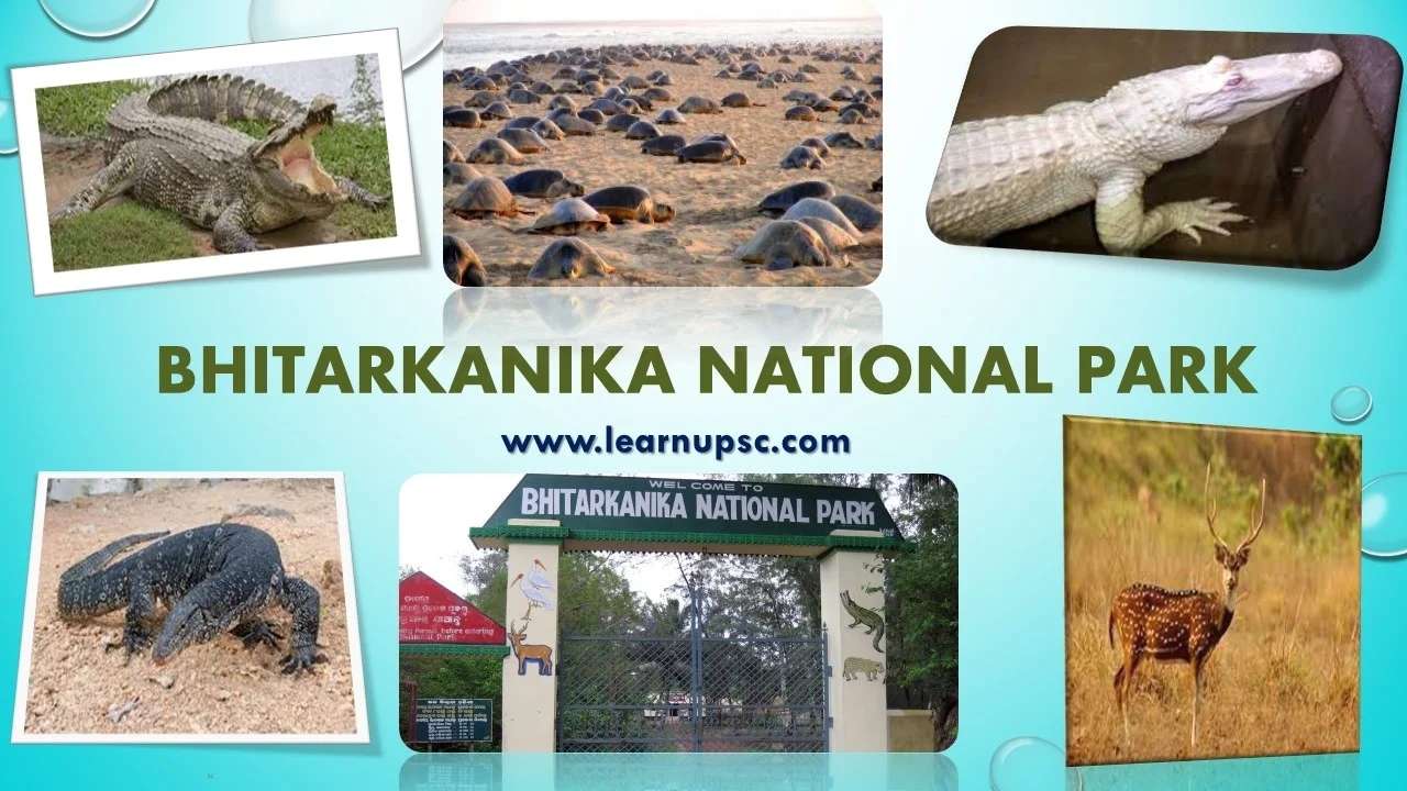 Bhitarkanika National Park