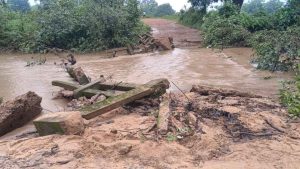 Bridge Washed Away in Odisha’s Sunabeda Sanctuary Amid Torrential Rains