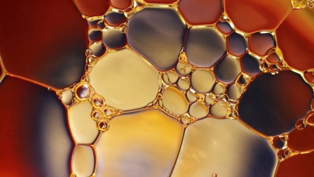 NIT Rourkela Unveils Eco-Friendly Biofilm to Combat Industrial Oil Spills and Chemical Waste 1 NIT Rourkela Unveils Eco-Friendly Biofilm to Combat Industrial