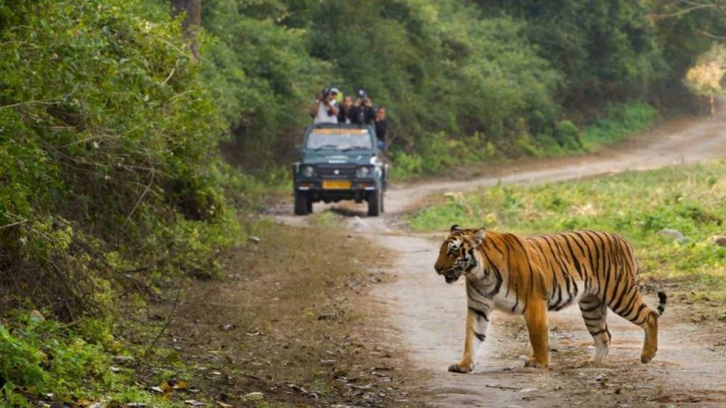 Satkosia Tiger Reserve on the Verge of Crisis: SC to Hear Urgent Plea Against Construction Plans 1 Satkosia Tiger Reserve on the Verge of Crisis