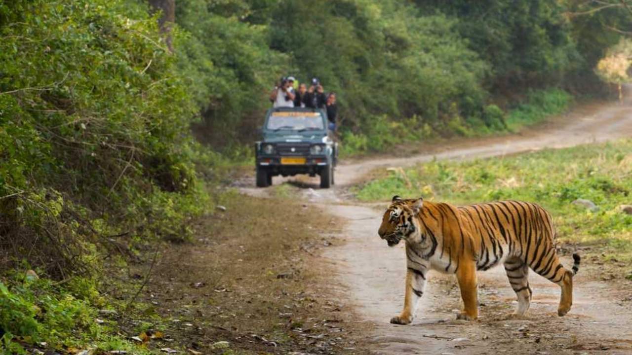 Satkosia Tiger Reserve on the Verge of Crisis
