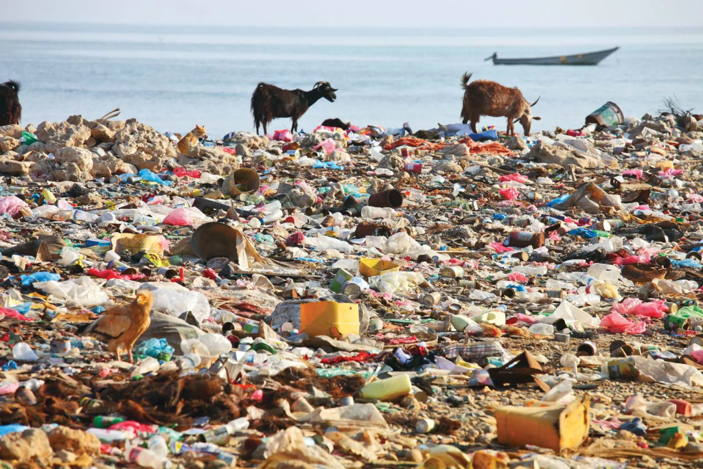 Plastic Pollution
