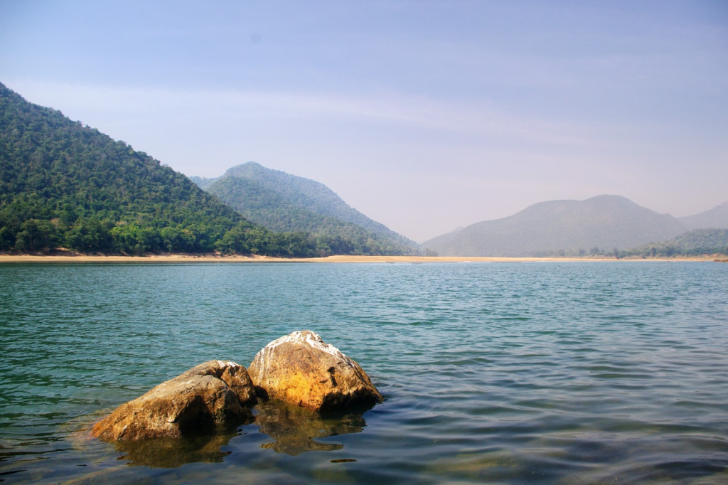 Satkosia Tiger Reserve on the Verge of Crisis: SC to Hear Urgent Plea Against Construction Plans 2 Satkosia Tiger Reserve