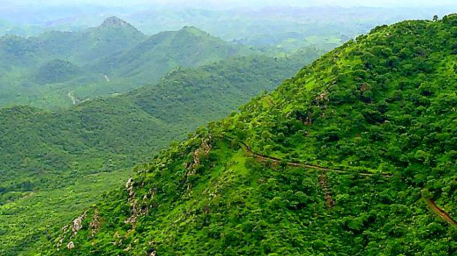 17 Chhattisgarh Tourists Rescued After 15-Hour Ordeal in Odisha's Gandhamardan Hills 2 Odisha's Gandhamardan Hills