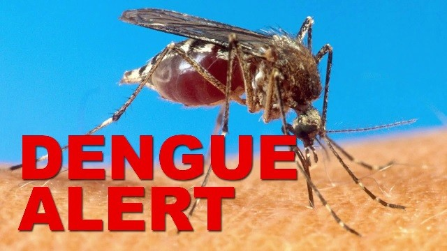 Battles Dengue as 167 Cases