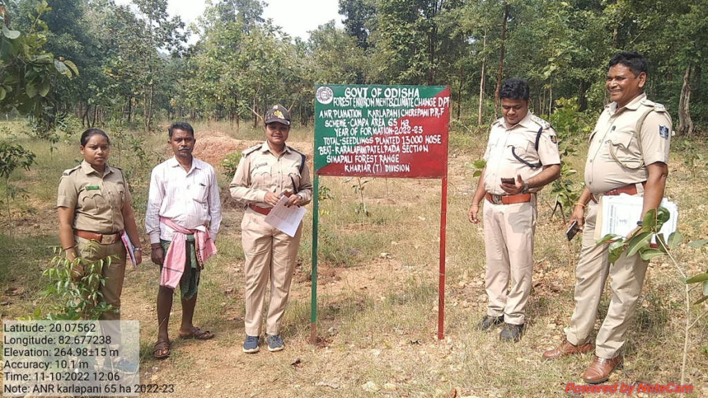 Odisha Secures Over Rs 2,000 Crore for Massive Afforestation Push—What This Means for the Future 2 Odisha Secures Over Rs 2,000 Crore