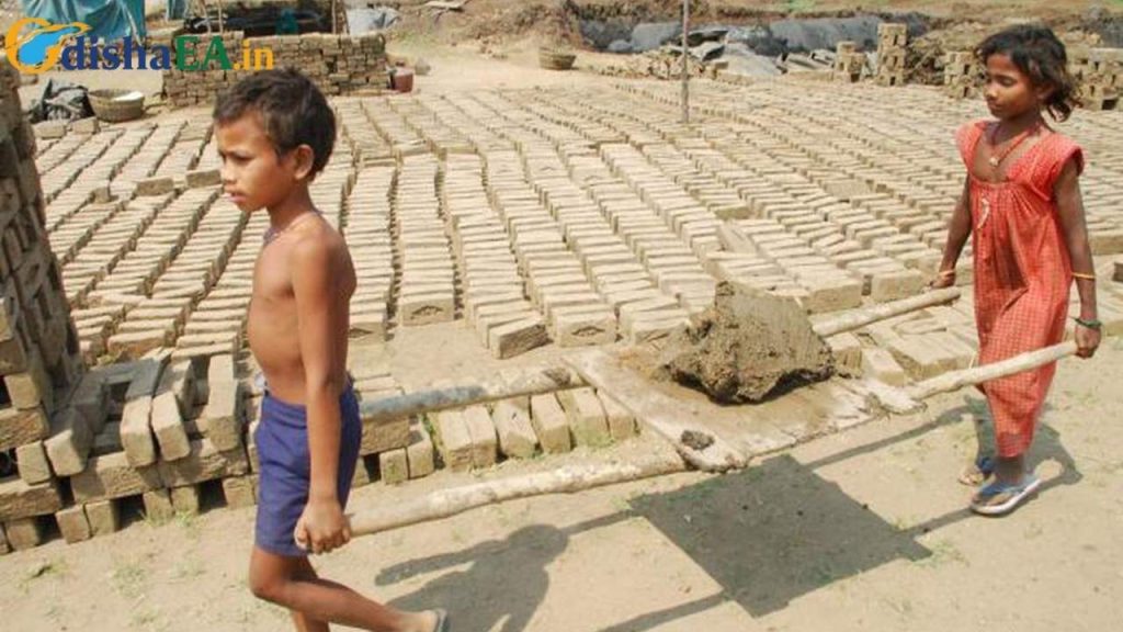 10 Years Enslaved, Now Miles to Go: The Silent Exodus of Freed Tribal Labourers in Odisha 1 10 Years Enslaved, Now Miles to Go