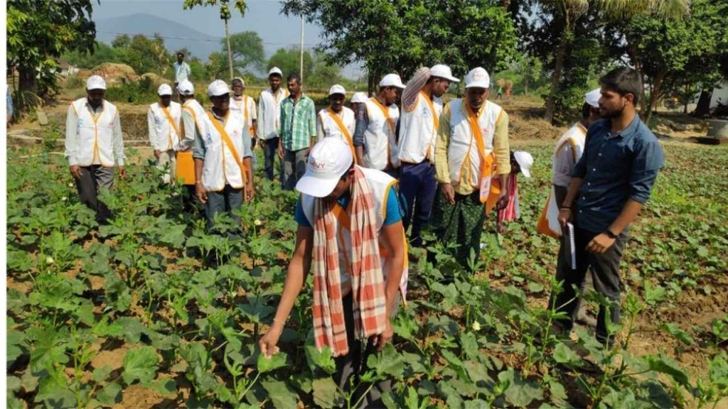 Agriculture Officers in Odisha Urged to Join New Posts Promptly