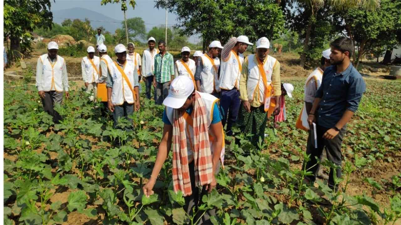 Agriculture Officers in Odisha Urged to Join New Posts Promptly