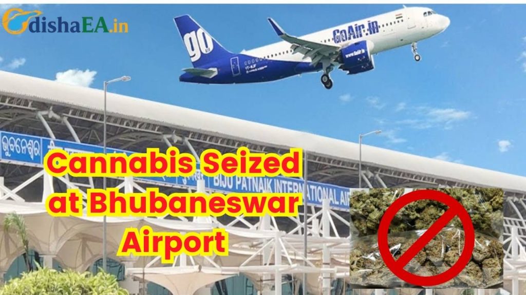Cannabis Seized at Bhubaneswar Airport, Punjab Couple Detained with Rs 4 Crore of Drugs 1 Cannabis Seized at Bhubaneswar Airport