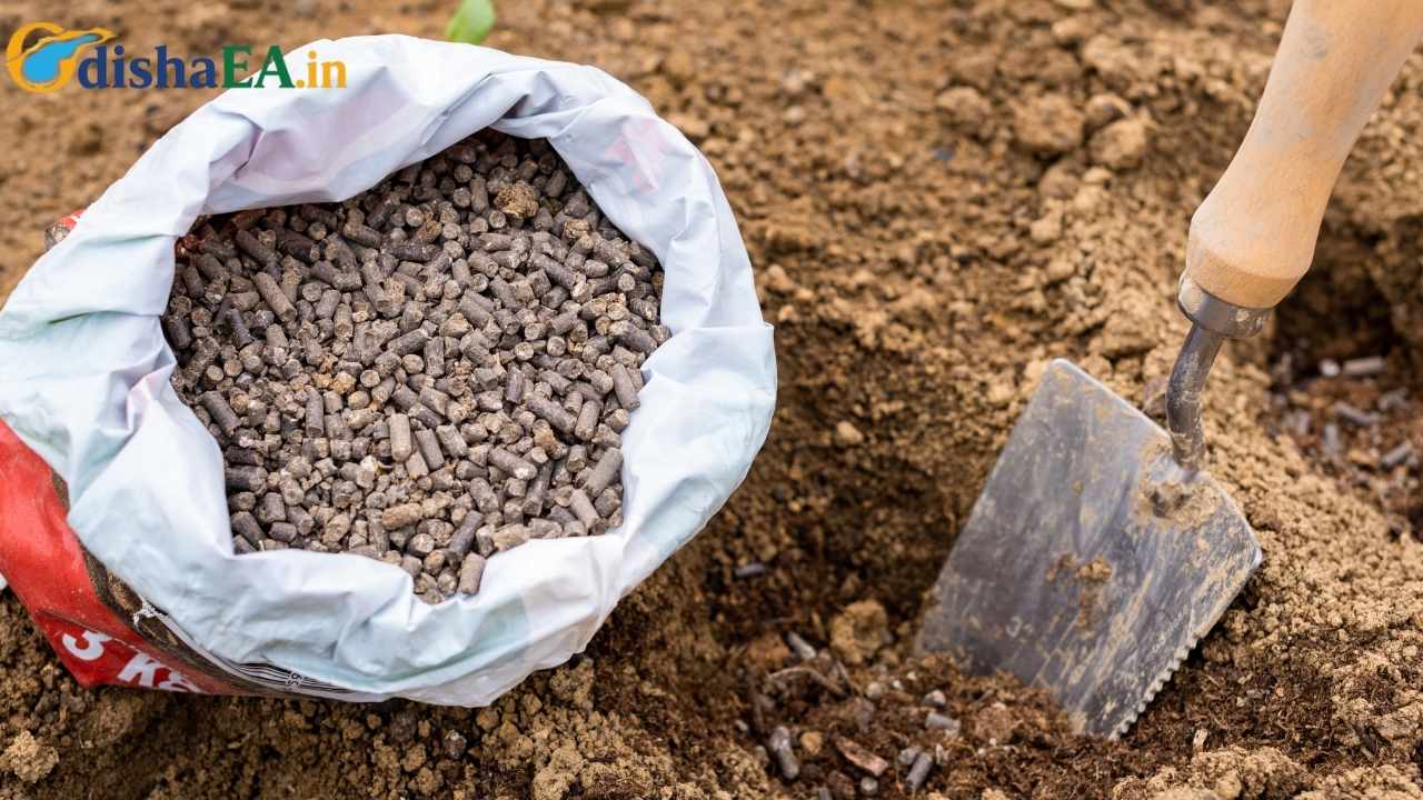 Fertiliser Black Market Spirals Out of Control