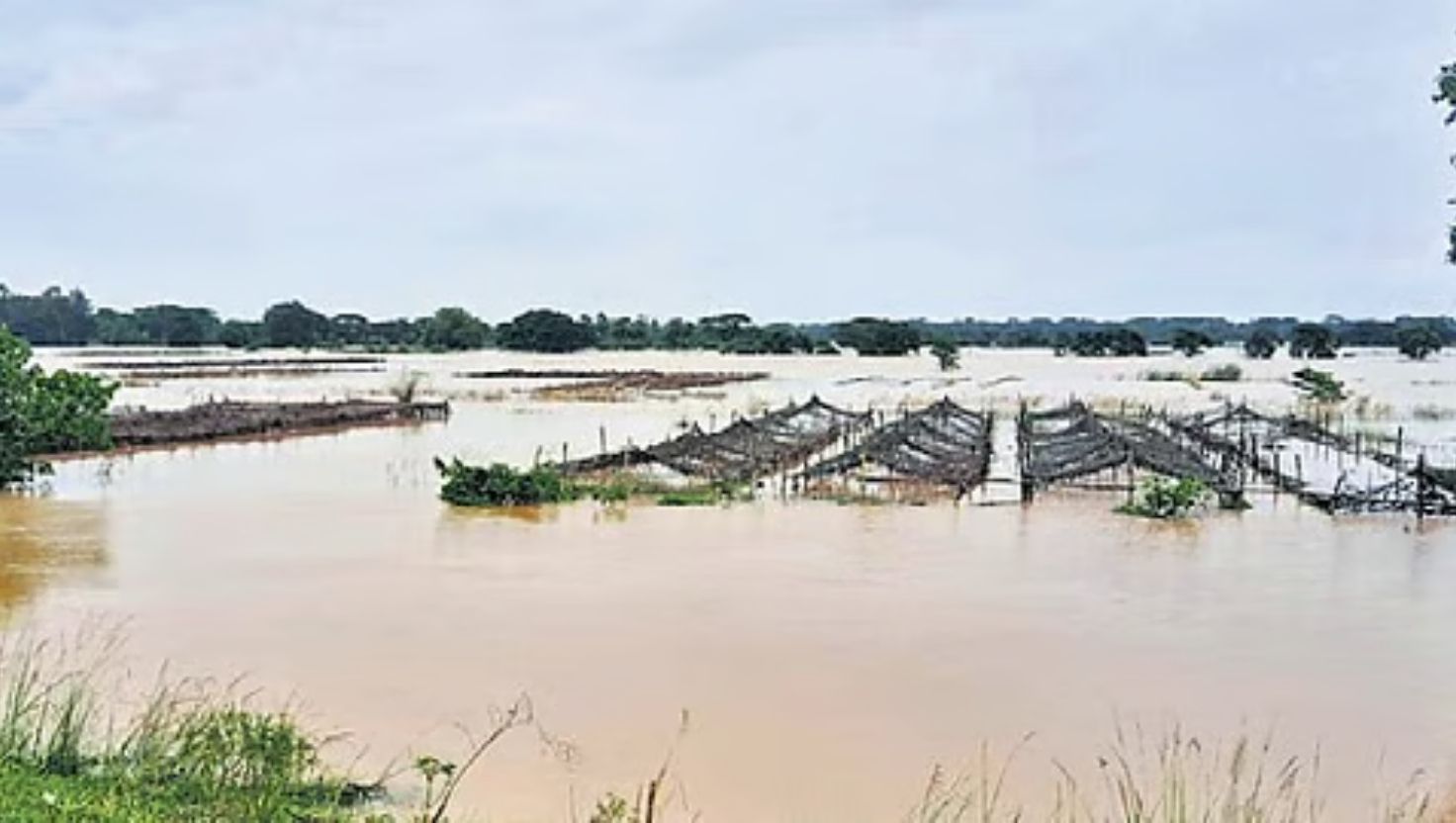 Floods Devastate Kendrapara Agriculture