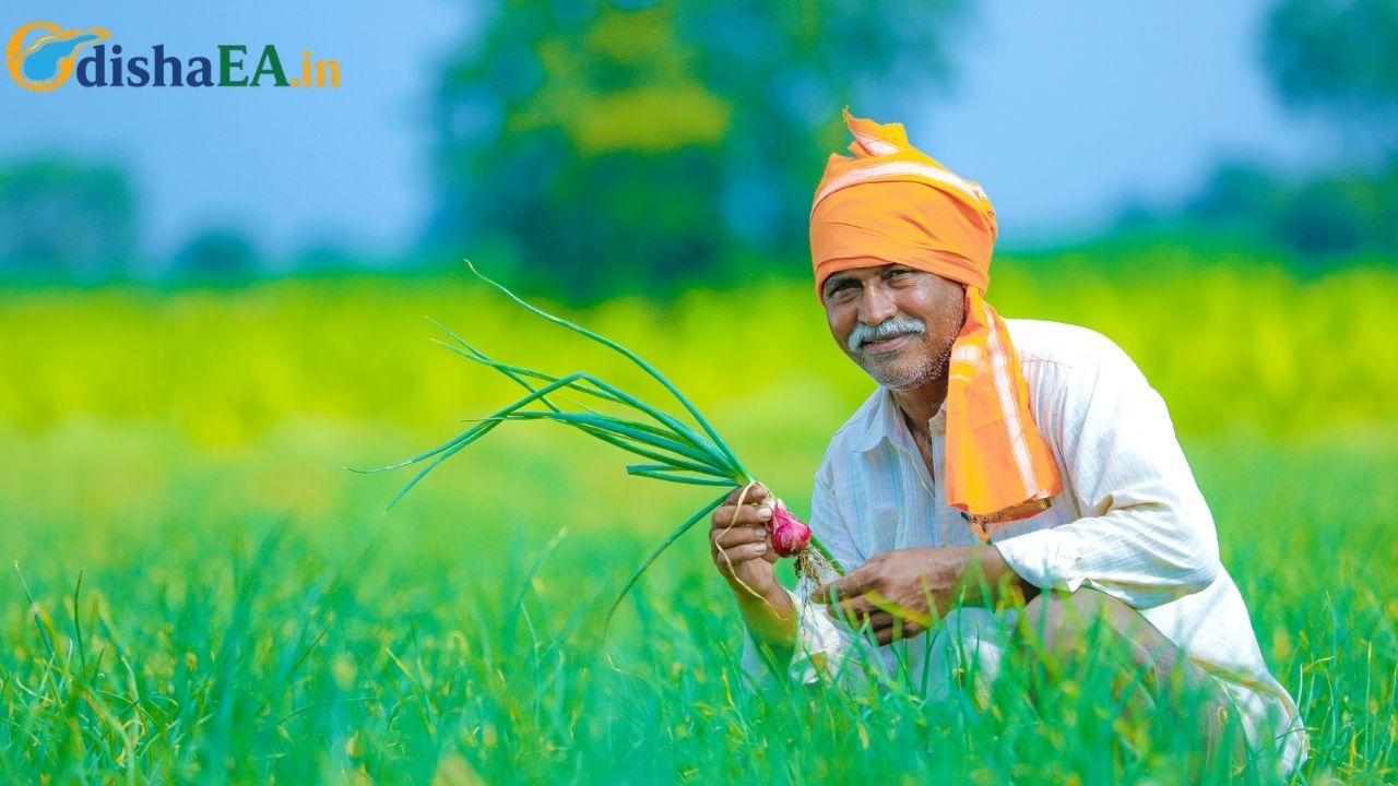 A Boost for Farmers on Nuakhai
