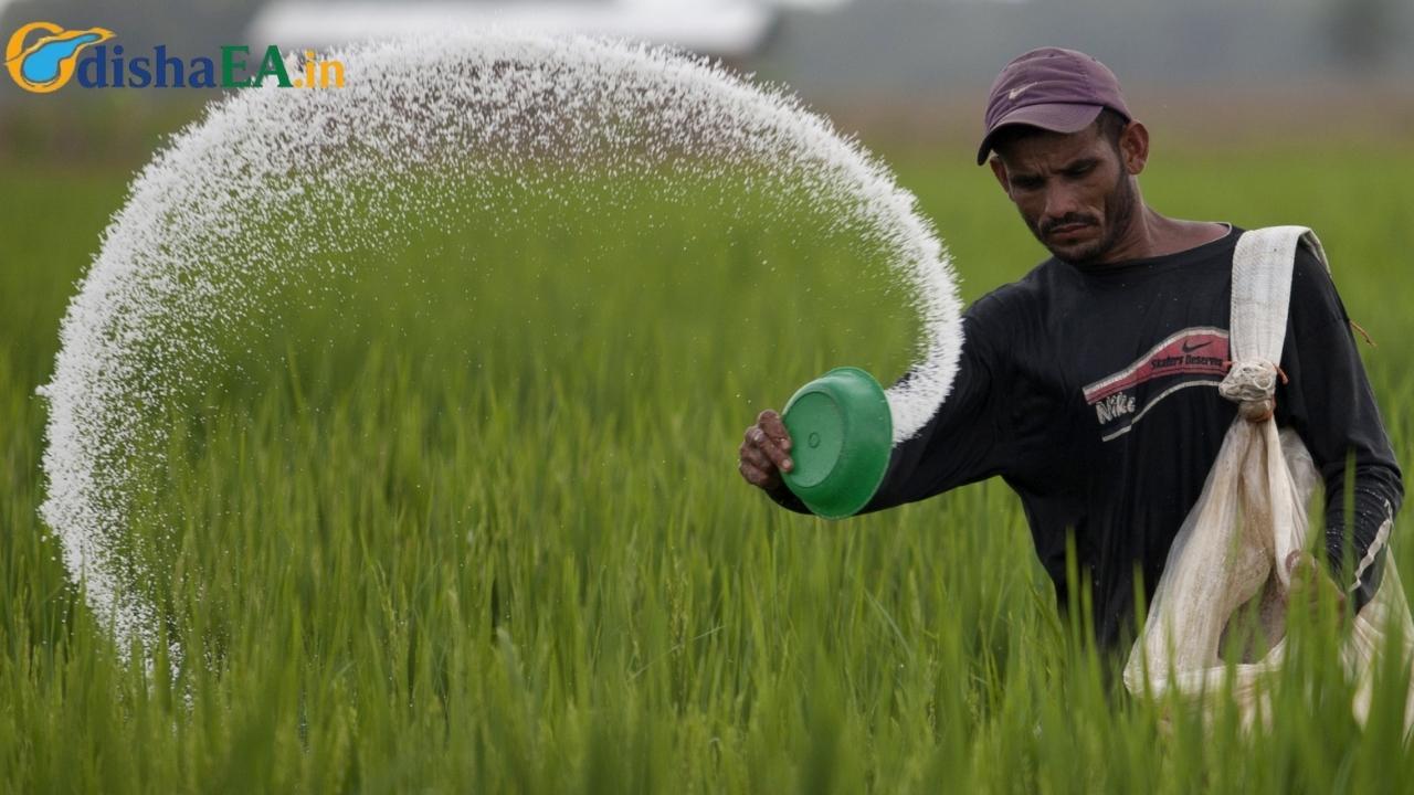 Odisha Faces Critical Fertilizer Shortage