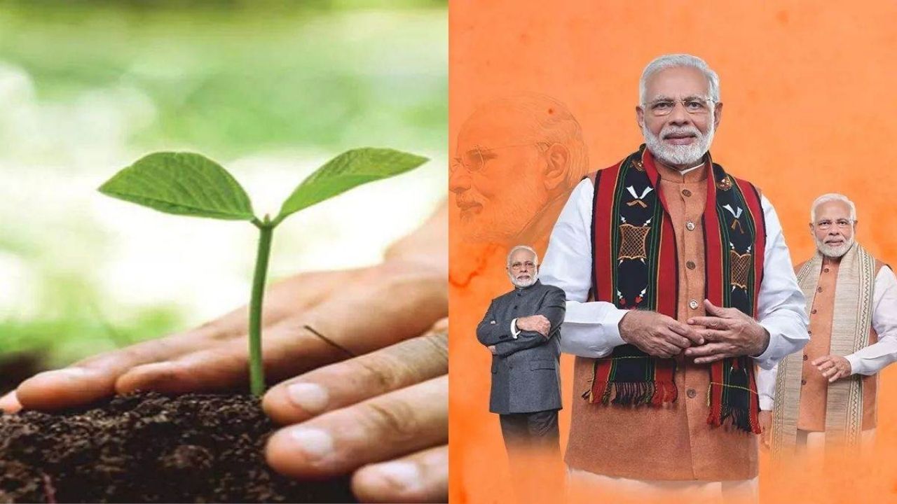 Odisha to Celebrate PM Modi’s 75th Birthday