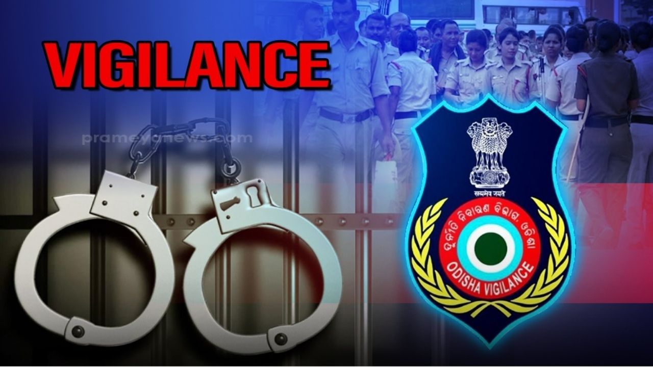 Vigilance Searches 7 Locations