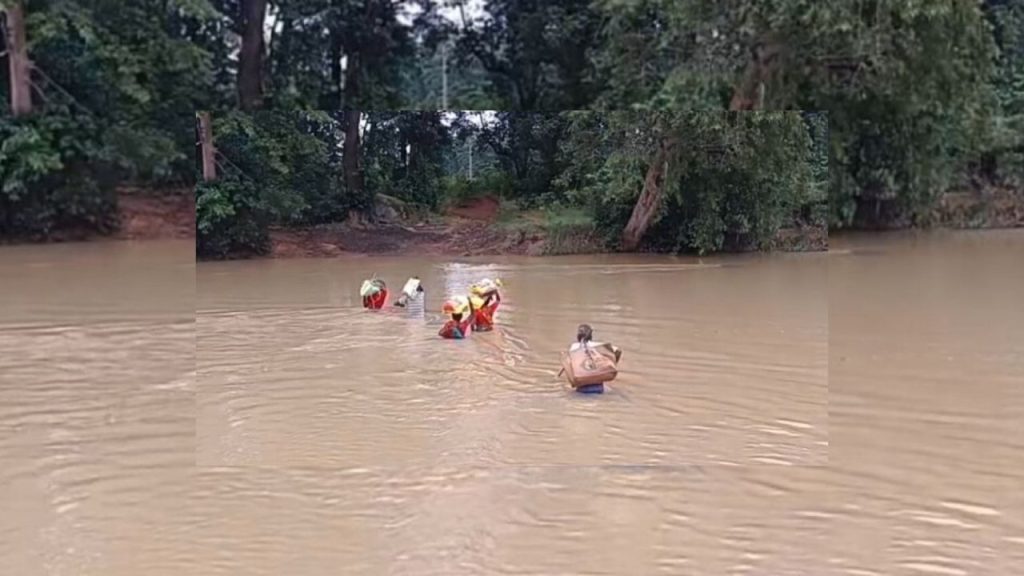 Villagers in Keonjhar’s Talapada Risk Everything for PDS Rice—The River Stands Between Them and Survival 1 Villagers in Keonjhar’s Talapada Risk Everything for PDS Rice