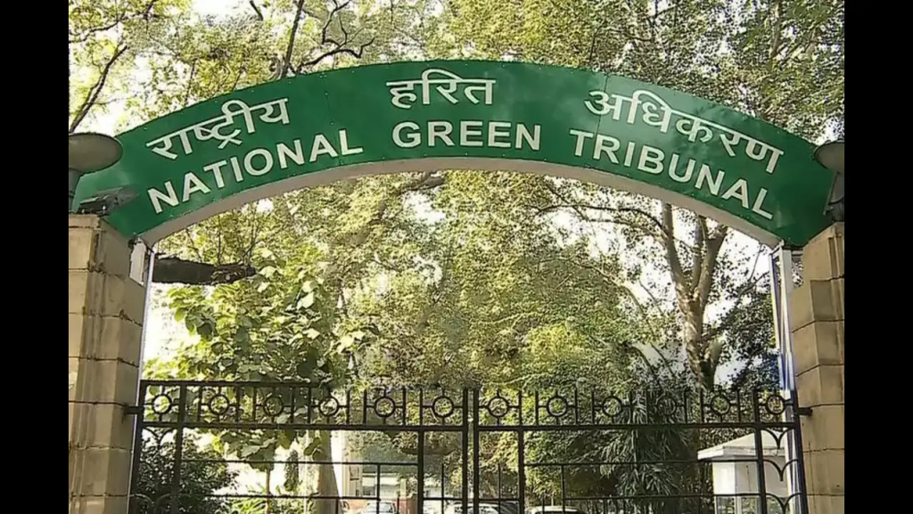 NGT Cracks Down: Odisha Govt Under Fire for Illegal Stone Crusher in Balasore 2 National Green Tribunal