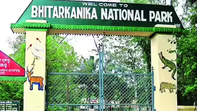 Three-Day Monsoon Bird Count Begins in Odisha's Bhitarkanika National Park: A Vital Conservation Effort 2 Bhitarkanika National Park