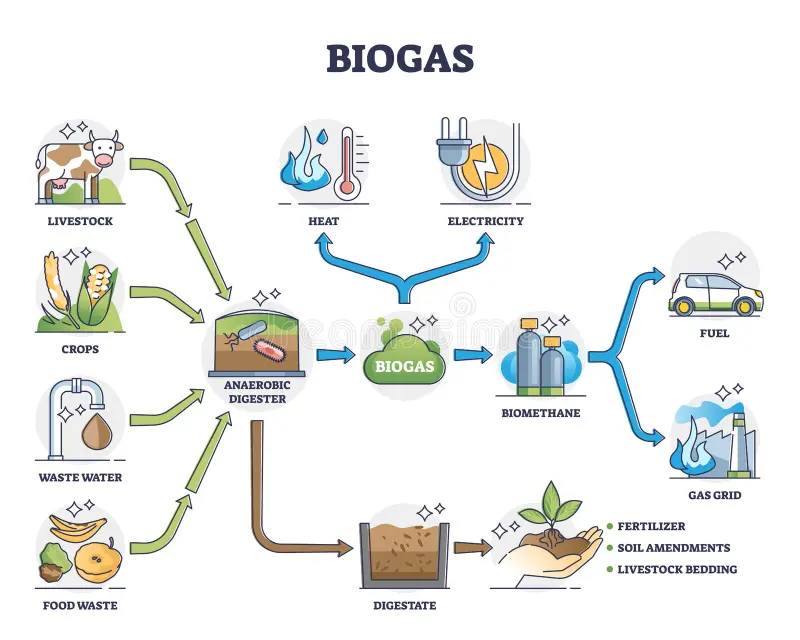 Bhubaneswar Unit-1 Market to Convert Organic Waste into Electricity with New Biogas Facility 2 New Biogas Facility
