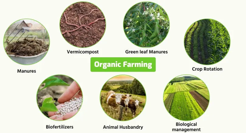 Organic Agriculture