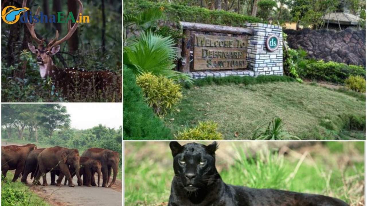 Debrigarh Sanctuary