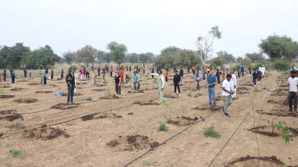 Odisha to Plant 75 Lakh Trees on Sept 17