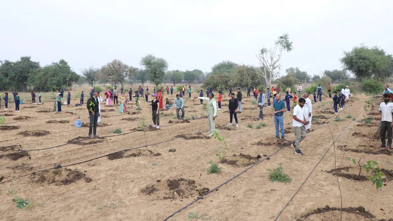 Odisha to Plant 75 Lakh Trees on Sept 17