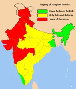Highest populations of stray cattle