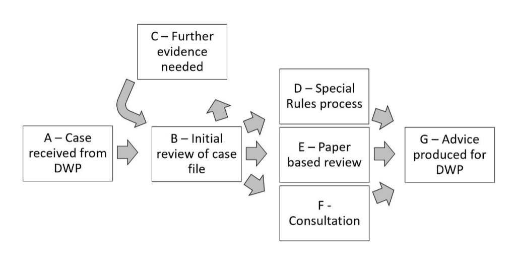  DWP's process for correcting HRP errors and issuing state pension back payments.