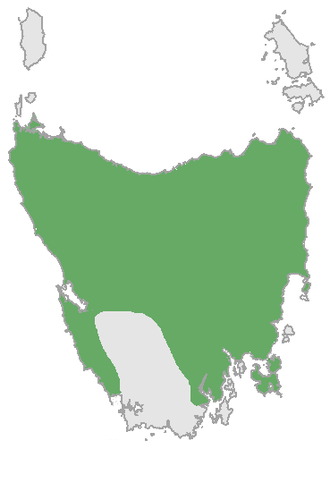 Australia and Tasmania